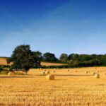 agricoltura