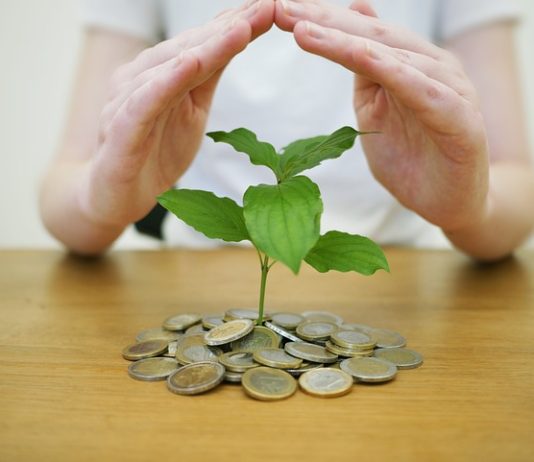 Investire negli insetti: quali sono le opportunità di guadagno?